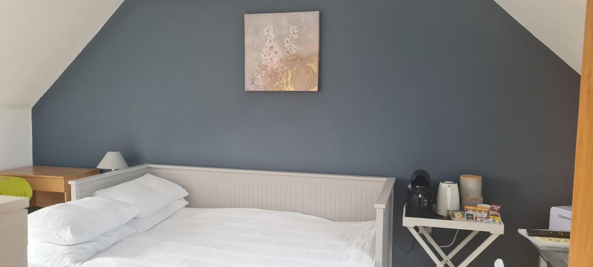 Homestay Large Double With Ensuite And Double Shower - Bishops Frome
